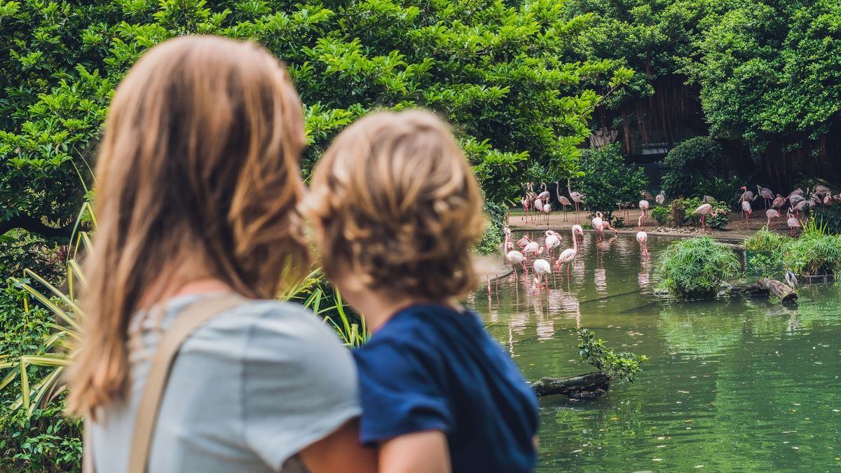 V zoo v Bošovicích chystají dětskou zoo, otevře zřejmě v květnu